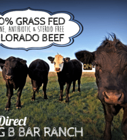 Colorado Grass Fed Beef from Flying B Bar Ranch